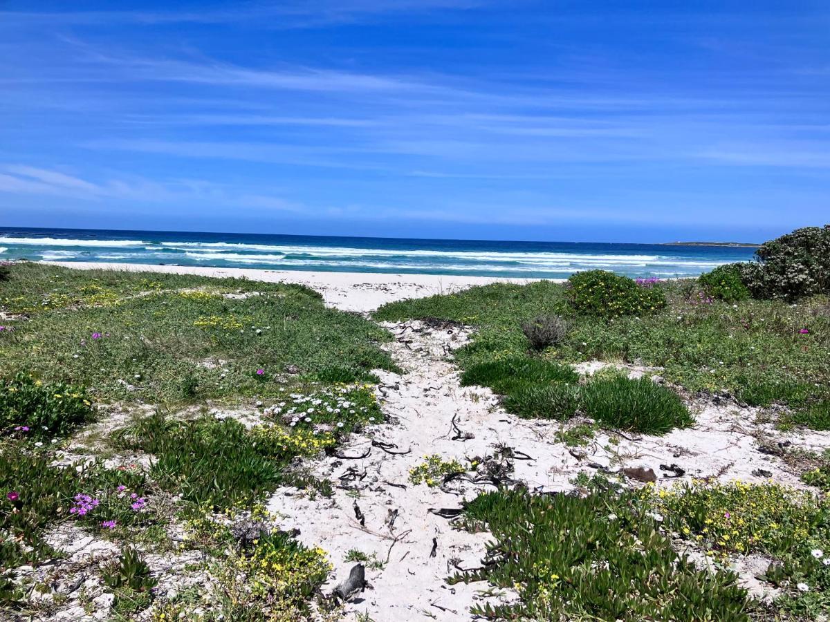 Silverdunes - Seaview Bettyʼs Bay Eksteriør bilde